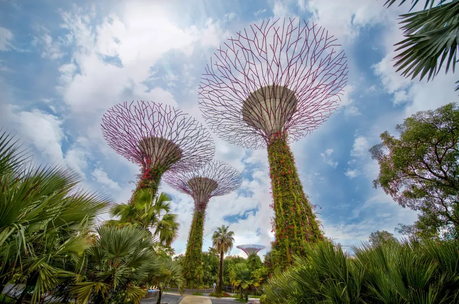 The Best Sunset Spots Around the World You Must See