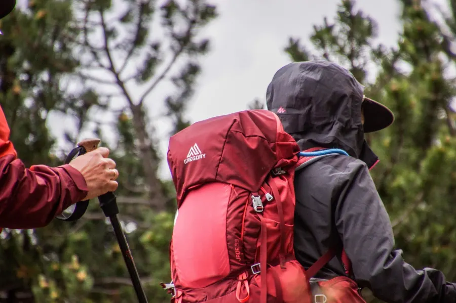 Trekking in Patagonia: Torres del Paine and Beyond
